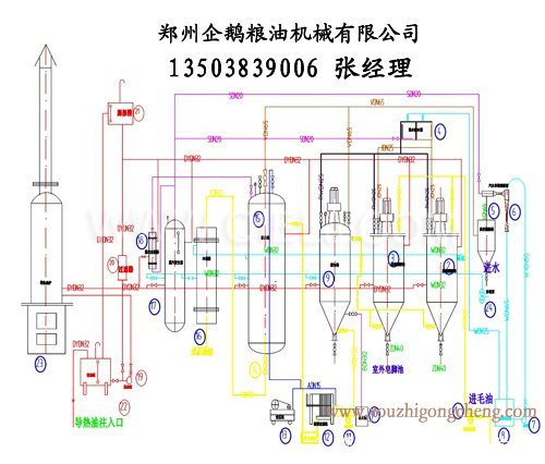 牡丹籽油榨油精炼设备生产线(图3)