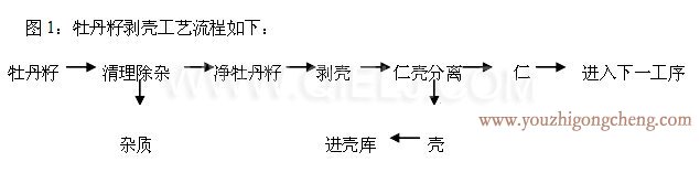 牡丹籽油榨油精炼设备生产线(图5)