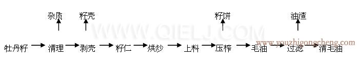 牡丹籽油榨油精炼设备生产线(图6)