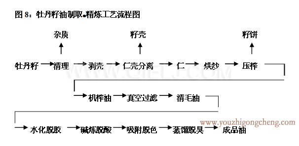 牡丹籽油榨油精炼设备生产线(图4)